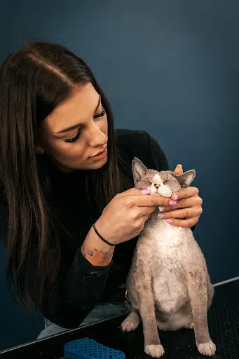 Salon pielęgnacji psów Viva la Perro